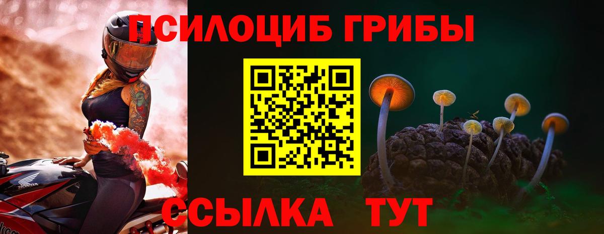 Миасс  Галлюциногенные грибы Psilocybine cubensis  Вход с VPN 